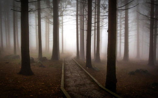 1754619 (a): :1920x1200